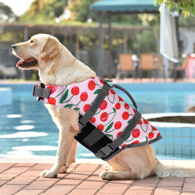 Doglay Dog Life Jacket, Dog Life Vest for Swimming Boating, Adjustable Puppy Life Jacket with Reflective Stripes, Superior Buoyancy Pet Swimming Vest for Small Medium and Large Dogs Cherry X-Small - PawsPlanet Australia