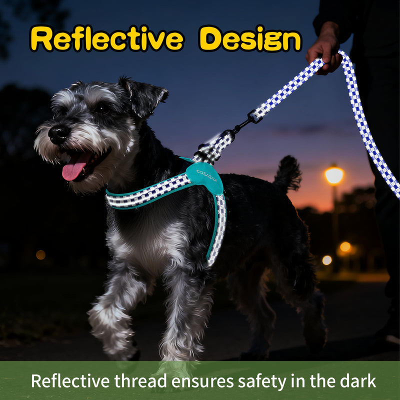 Kazazoo No Pull Small Dog Harness and Leash Set, Adjustable Puppy Soft Vest Harness with Breathable Mesh Padded, Reflective Lightweight Harness with Buckle for Extra Small Medium Dogs, Blue Plaid XS - PawsPlanet Australia