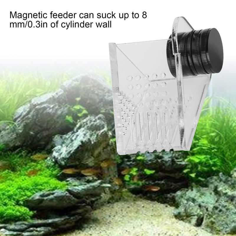 Aquarium Transparent Acrylic Feeding Container Fish Tank Cone Feeder with Magnetic Suction Fish‑Box Feeder for Aquarium Accessories - PawsPlanet Australia