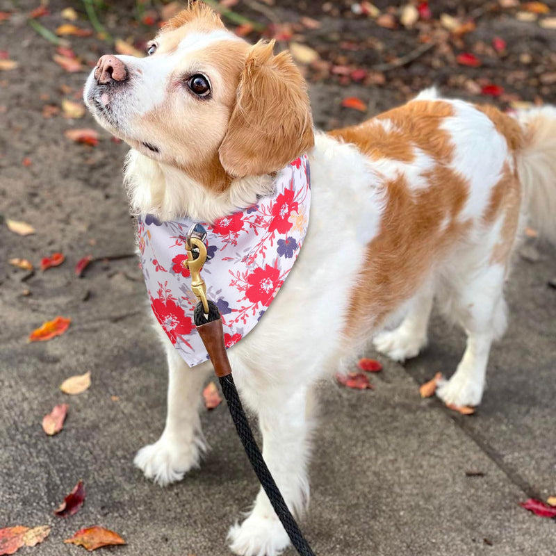 72 Packs Dog Bandanas Bulk Buffalo Plaid Cat Bandana Summer Scarf Triangle Fruit Drool Bibs Washable Adjustable Kerchief Dog Cat Bandana for Beach Small Medium Pet Supplies(Flower) Floral - PawsPlanet Australia