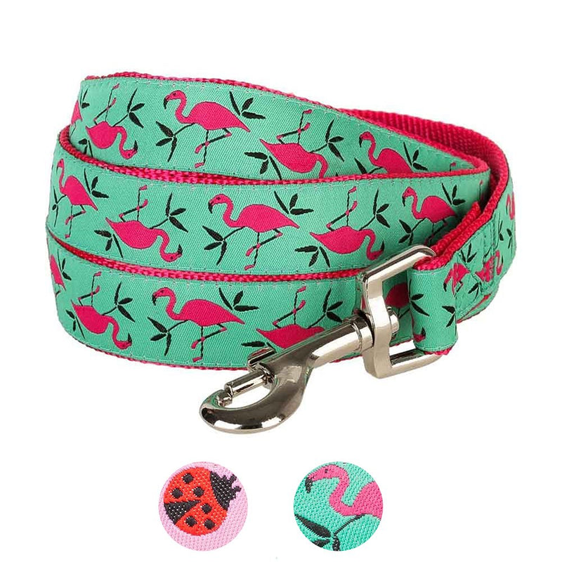 Blueberry Pet Essentials 2 Patterns Durable Pink Flamingo on Light Emerald Dog Leash 5 ft x 3/8" for Puppy, X-Small, Basic Nylon Leashes for Dogs 5' * 3/8" (Pack of 1) - PawsPlanet Australia