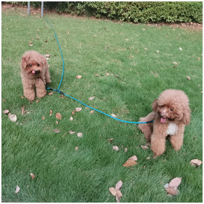 BTINESFUL 12FT 20FT 30FT Reflective Dog Tie Out for 2 Dogs, No Tangle 1/3 Inch Nylon Rope Tether for Two Dogs, Dog Trolley Runner for Yard Outdoor Camping Blue 12 ft x 1/3" - PawsPlanet Australia