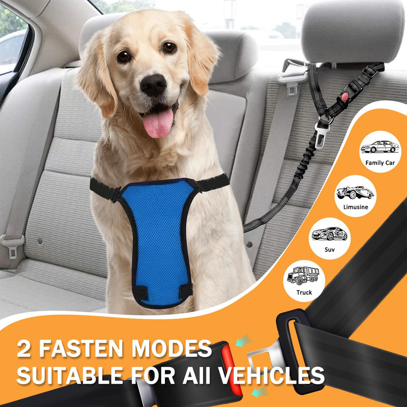 Vehicle Harnesses, 2 in1 Dog Belts for Cars, 2 Pack Pet Harnesses Headrest Restraint Clip Adjustable Dog Car Harness Belt with Anti-Shock Elastic Bungee Buffer for All Vehicles (Black) - PawsPlanet Australia
