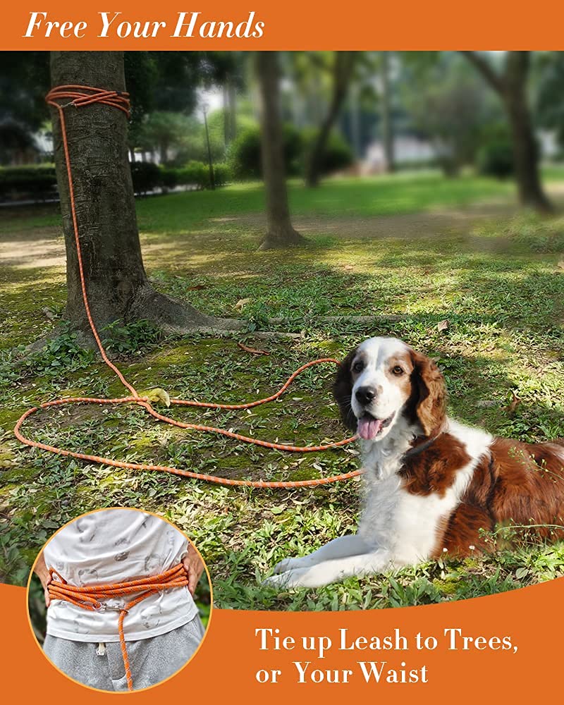 Long Dog Leash for Dog Training 10FT/16FT/30FT/50FT/100FT, Reflective Threads Check Cord Dog Leash, Heavy Duty Dog Lead for Large Medium Small Dogs Outside Walking, Playing, Camping, or Yard 30FT* 3/8 inch Orange - PawsPlanet Australia