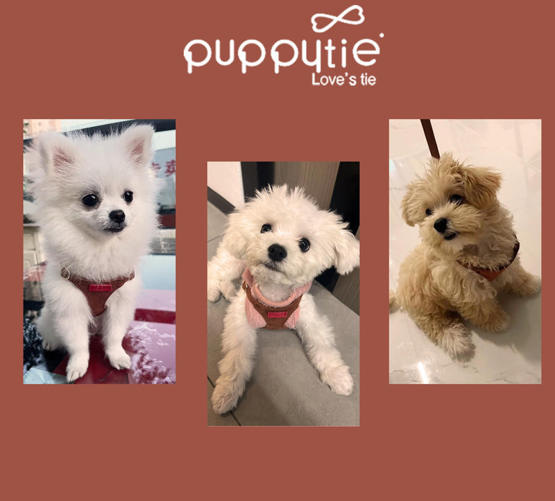 Puppytie No Pull Dog Harness with Multifunction Dog Leash,Soft Adjustable No Choke Escape Proof Pet Harness Vest for Medium Dogs or Large Dogs,Brown Caramel,M Brown M(16.5-31lb） - PawsPlanet Australia