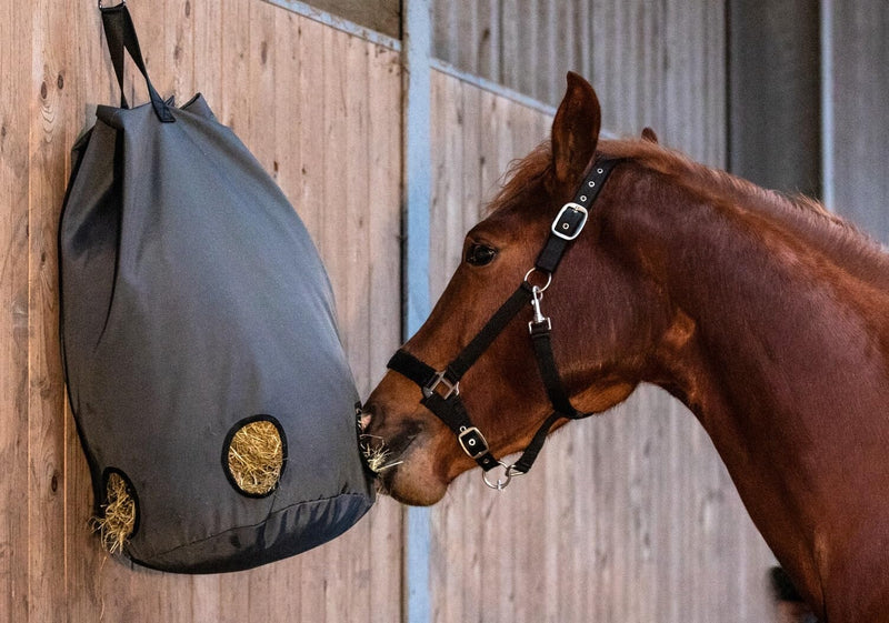 Hay Bags for Horses - Super Strong & Tough 1200D Oxford Haybag - Tote with New Advanced Slow Feed Function - Bag to Feed Hay to Horse, Donkey, Goats - Keeps Stable and Trailer Clean - PawsPlanet Australia
