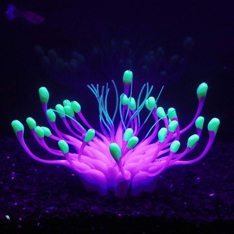 Soft Silica Gel Moves Naturally with Water Flow, Aquarium Decorations Glow in The Dark, Glowing Coral Ornaments for Fish Tank Decorations (Purple, Equinox) Purple