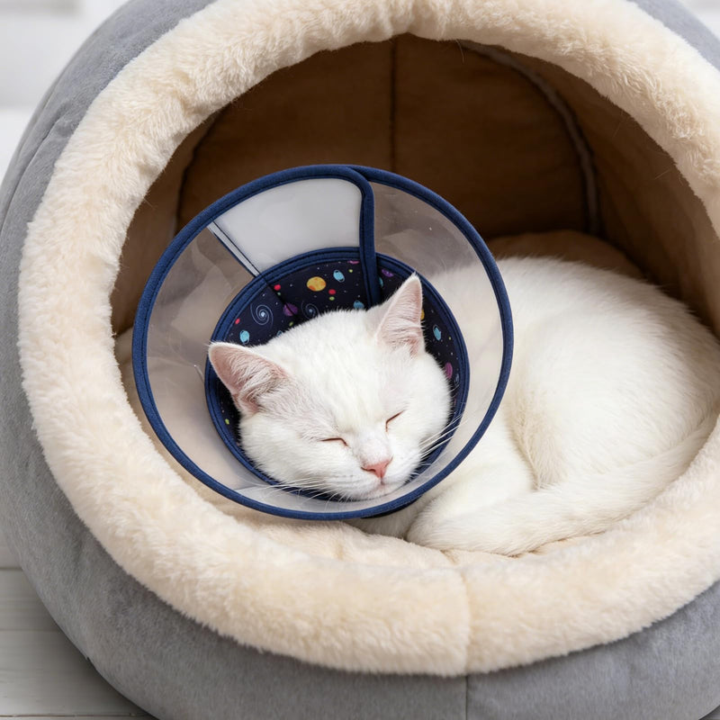 PUPTECK Cat Cone Collar Soft for Neck, Pet Recovery Collar to Stop Licking After Surgery, Adjustable Elizabethan Pet Collar for Small Medium Cats Kittens, NavyBlue M "M (Neck Girth 8.5-11.5in, within 11lbs)"