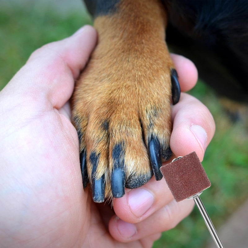 33pcs Dog Nail Grinder Pet Nail Grinder for Dogs Replacement Kit Sanding Drum Set with Grit Sanding Bands Pet Nail Smoother Dog Claw Care Rotary Tool Kit Dog Claw Trimmer Tools (1/2 Inch 120 Grit ) - PawsPlanet Australia