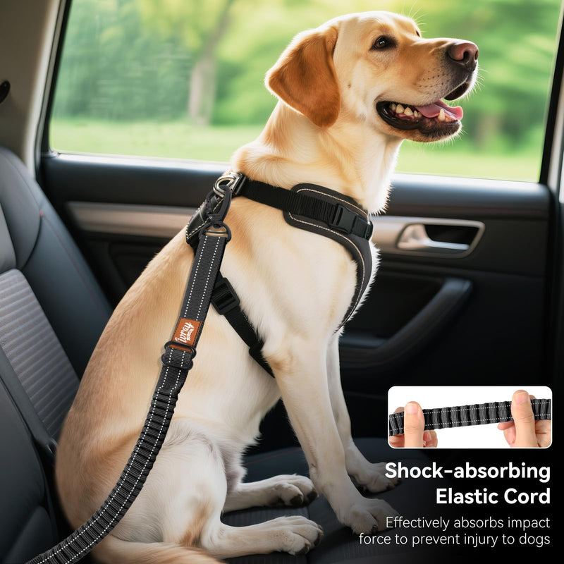 2Pcs Dog Seat Belt, Dog Car Seat Belt Bungee, Car Harness for Pet with Buckle & Hook Latch, Safety Leash Vehicle, Adjustable Reflective Pet Vehicle Tether, 360° Swivel Lock Clasp, Black 2Pcs - PawsPlanet Australia