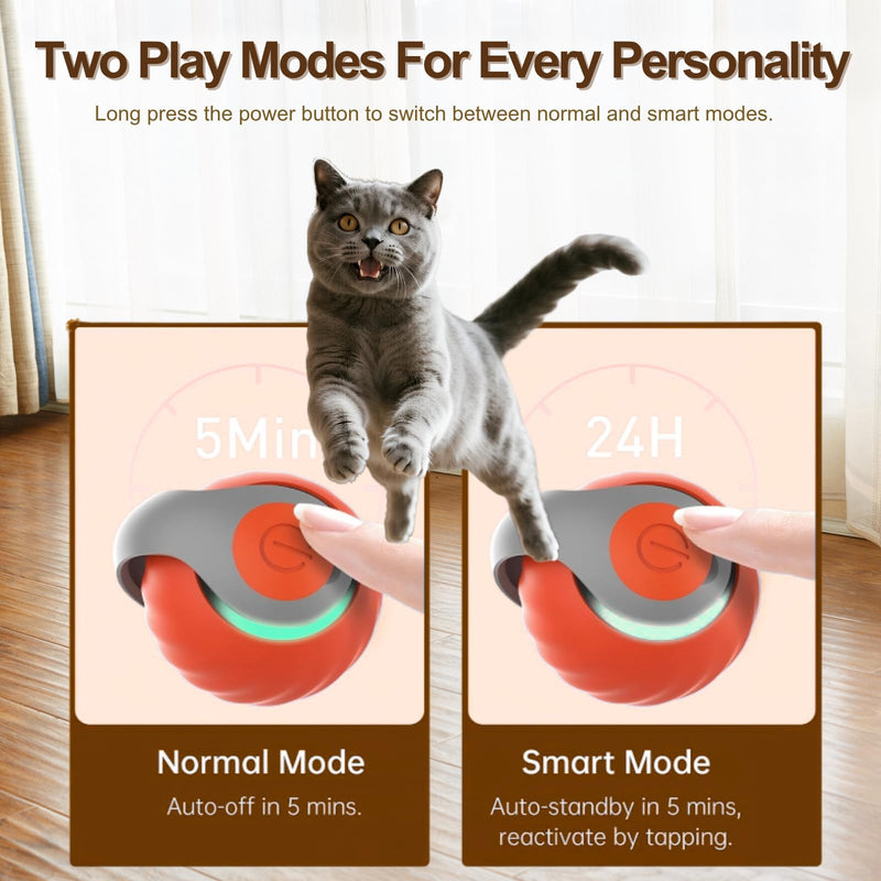 Interactive Cat Ball for Indoor Cats - Dual-Speed Automatic Rolling Ball Toy with 90Min Run Time, Plush + Feather Tails, Energetic Cat Chase Exercise, Blue/Orange, 1PC - PawsPlanet Australia
