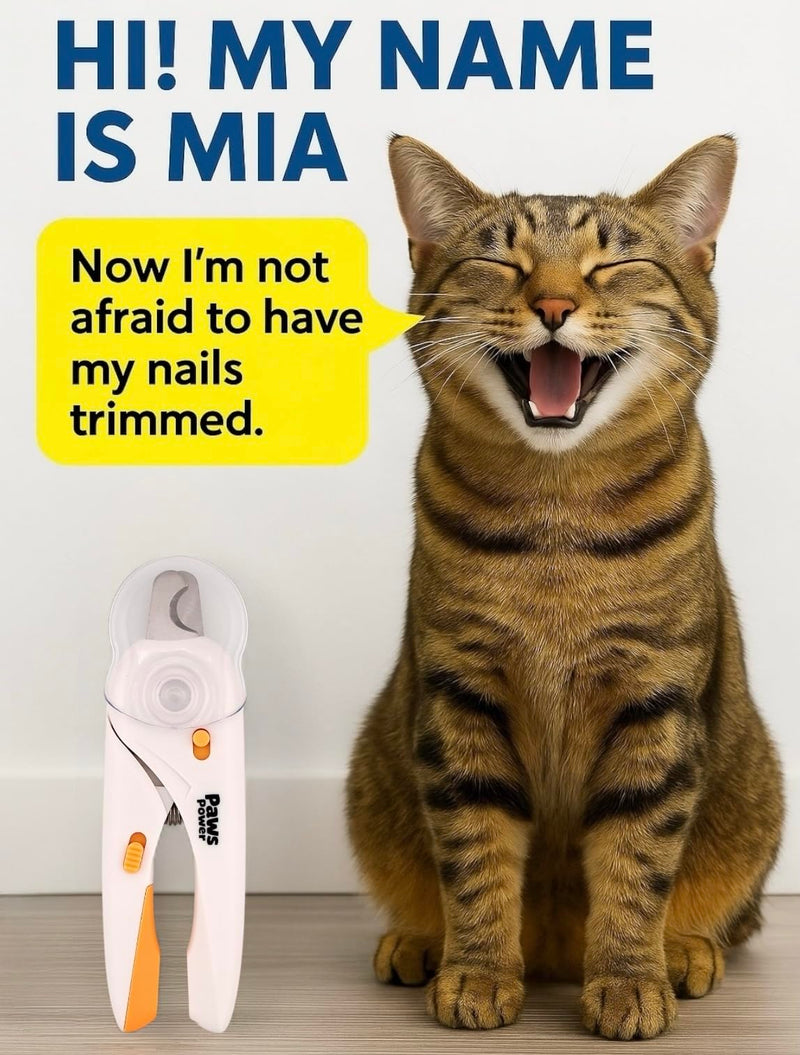Cat Nail Clipper & Small Dog Nail Clippers with LED Light - Illuminates Nails & Bloodline for Safe, Easy Trimming - Extra Sharp, Avoid Over-Cutting - Essential Cat Supplies, White - PawsPlanet Australia