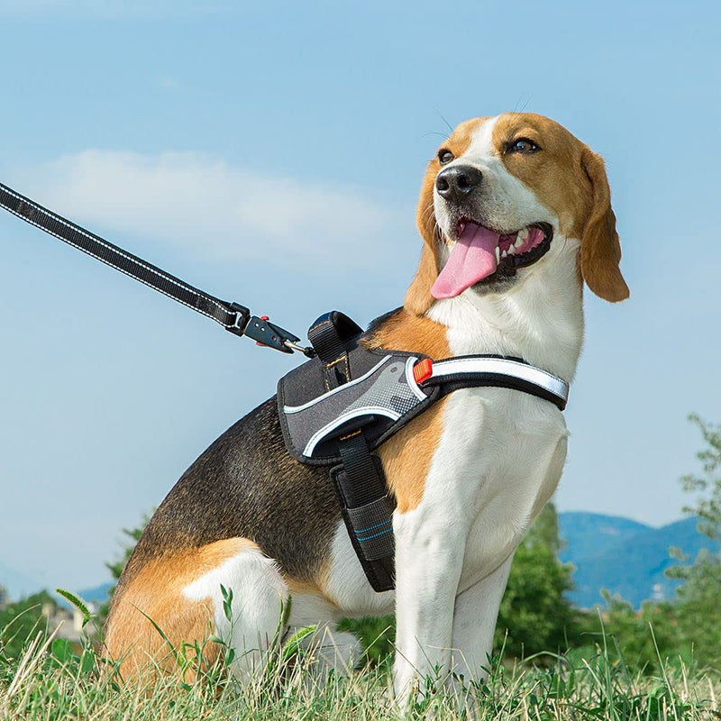Ferplast Dog Harness HERCULES SMALL, Adjustable, Padded, Resistant, Scratchproof, Visible in the Dark, with Handle Black