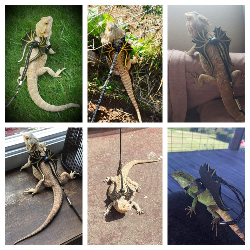 ADOGGYGO Bearded Dragon Lizard Leash Harness - 3 Size Pack Dinosaur Wing Lizard Harness Leash for Bearded Dragon Lizard Reptiles - PawsPlanet Australia