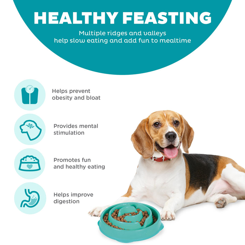 Outward Hound Fun Feeder Slo Bowl, Slow Feeder Dog Bowl, Medium/Mini, Turquoise - PawsPlanet Australia