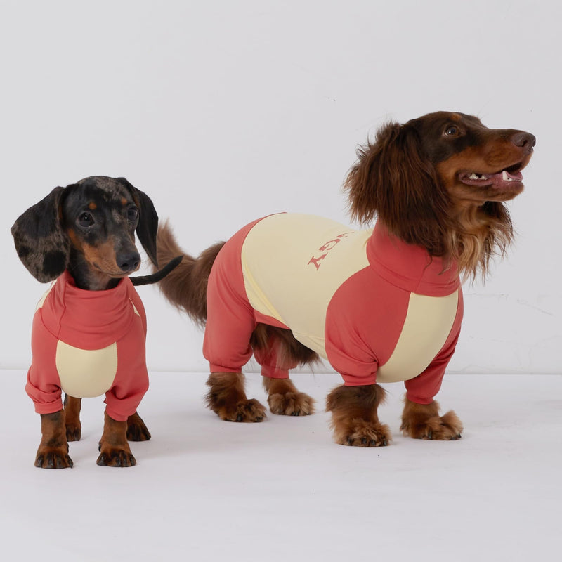 Dachshund Dog Cooling Summer Shirt, UPF50+ Four-Legged Sun Protection Clothes, Quick-Dry Summer Shirt for Dachshund and mini Dachshund (X-Small) X-Small - PawsPlanet Australia