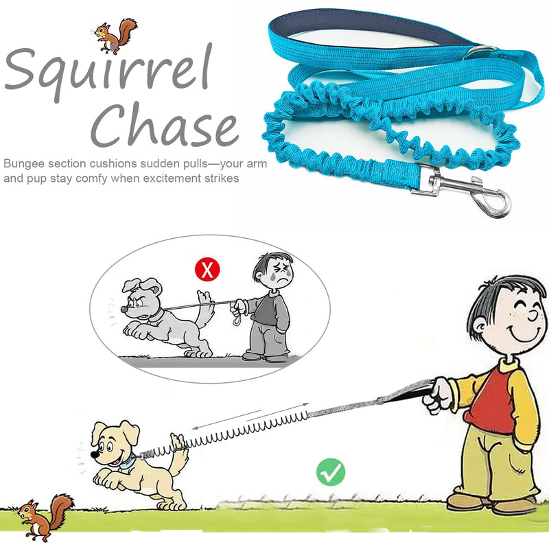 Bungee Dog Leash- 5FT Shock Absorbing & Reflective Nylon Leash | Anti-Pull Training for Small/Medium Dogs | 2cm Wide, 6 Colors (Teal) Teal - PawsPlanet Australia