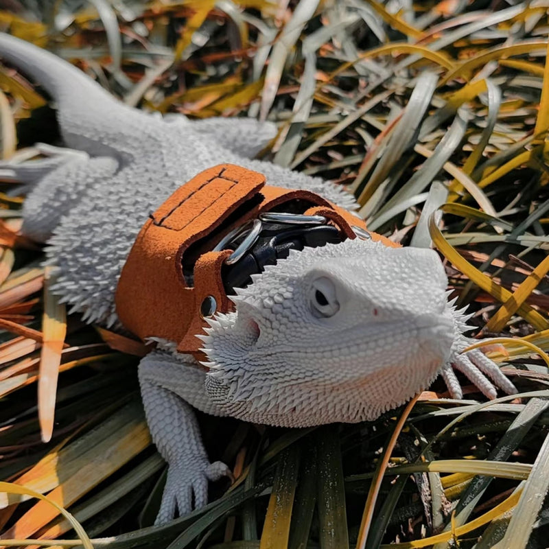 3 Pack Bearded Dragon Harness and Leash Set - Adjustable Soft Leather Lizard Harness with Retractable Leash Small Animal Traction Rope Walking Vest Accessories for Reptile Squirrel Rat (3 Pack) 3 Pack - PawsPlanet Australia