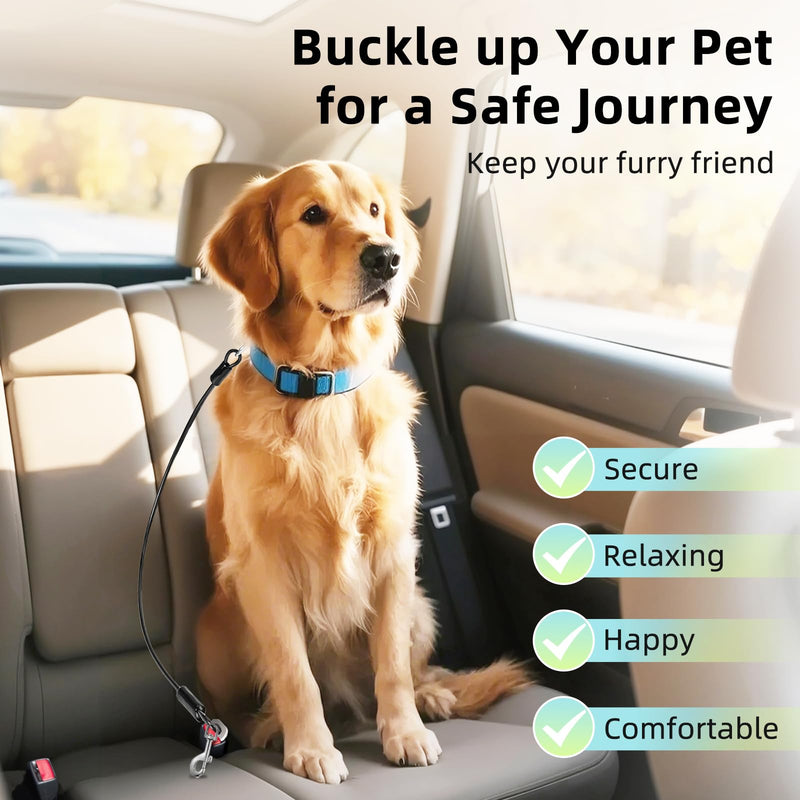 Dog Seat Belt for Car, 16" Chew-Proof Coated Wire Dog Car Leash Seat Belt, Dog Leash with Buckles and Latch, Safety Harness for Small, Medium, Large Dog or Cat, Travel, Black, 2 Pack 2 Pack Black 16 inch/40 CM - PawsPlanet Australia