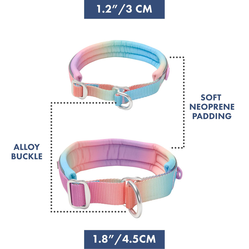 Spark Paws Martingale Dog Collar – Cushioned Slip-On Training Collar, Heavy Duty, Safety-Tested No-Buckle Collar for Medium & Large Dogs - Pastel Icing - C 01 Pastel Icing C: 17" - 18.5" [1.8" wide] - PawsPlanet Australia