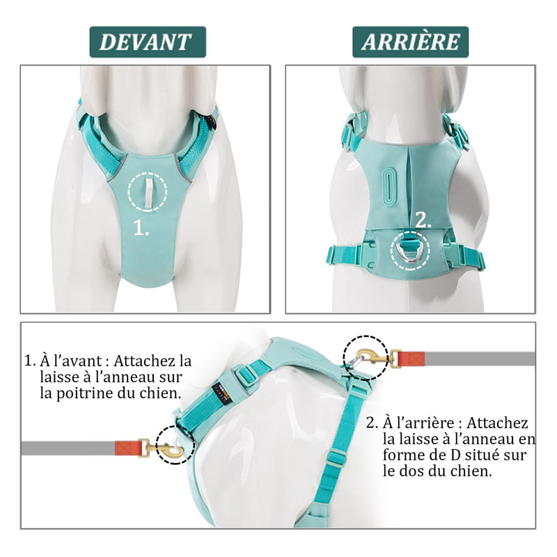 Adjustable Dog Harness Comfortable Vest in Durable Nylon with Strong Buckles, Ideal for Walking, Training, Travel, Outdoor, Small Medium Large Dogs, Green, L Lake green - PawsPlanet Australia