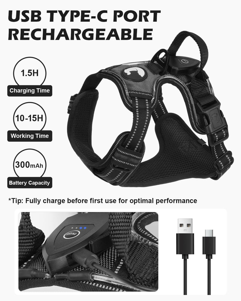 Joytale Light Up Dog Harness, No Pull Dog Harness USB Rechargeable for Night Walking with 3 Lightning Modes and Soft Handle, Adjustable Reflective Lighted Safety Vest,Black-Blue,M Medium Black-Blue - PawsPlanet Australia