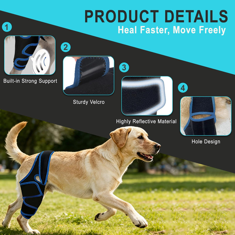 Dog Knee Brace for Torn ACL/CCL Hind Leg Reflective Front Back Leg Extra Support Dog Joint Protection Arthritis Pain Relief, Injury, Adjustable Vet-Recommended Recovery Brace for Dogs M Blue
