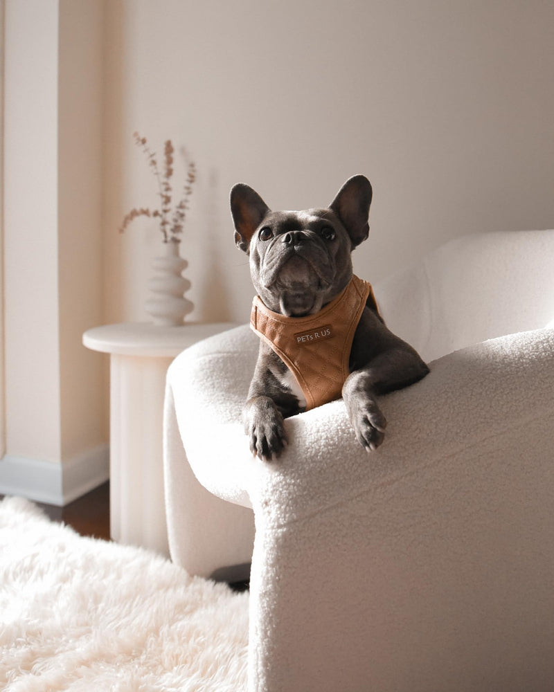 Step-in Dog Vest Harness Classic Quilted Design Vegan Leather Reflective Lightweight Breathable Mesh Soft White Taupe Brown Durable Stylish Pet Accessory (Tan Brown, Small) Tan Brown Small: Neck=9.4-11.4''/Chest=14.5-17'' - PawsPlanet Australia