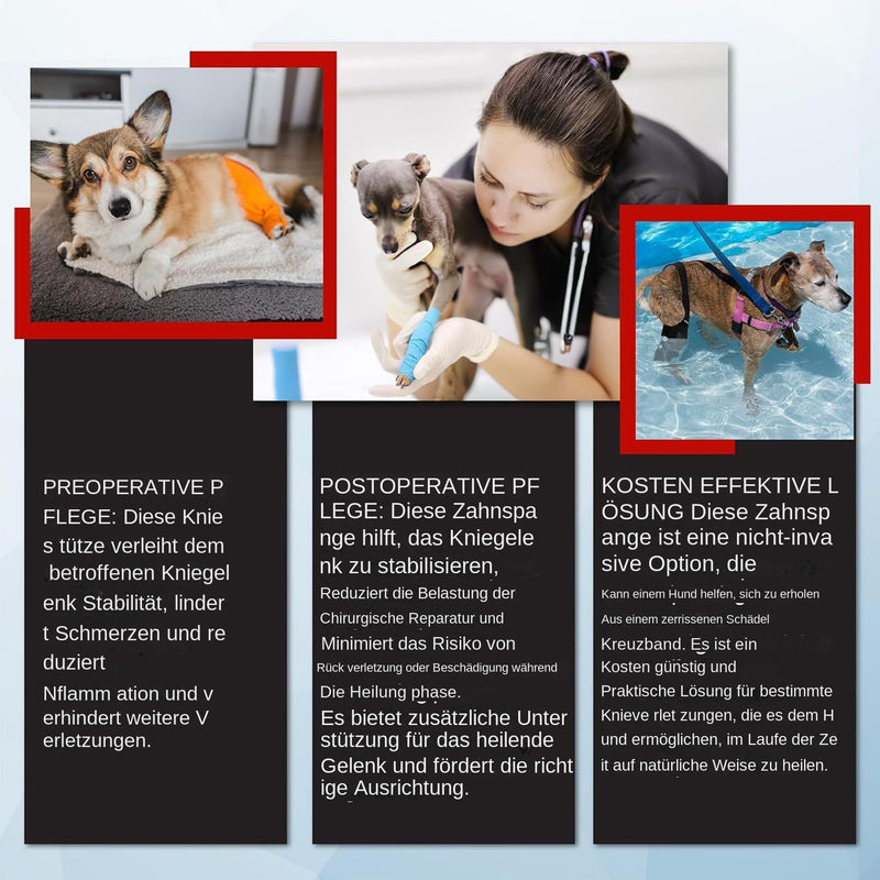 Generic knee brace for dogs | Jumping brace | Rear support | Non-slip knee brace with adjustable strap, soft protection for restoring mobility