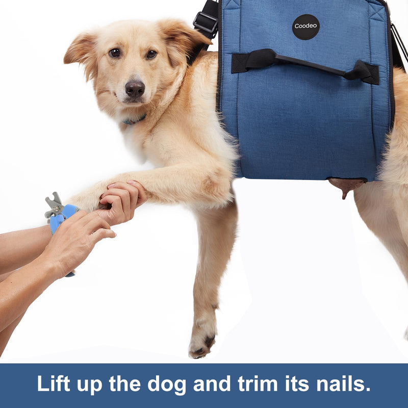 COODEO Dog Carry Sling, Emergency Backpack Pet Legs Support & Rehabilitation Dog Lift Harness for Nail Trimming, Dog Carrier for Senior Dogs Joint Injuries, Arthritis, Up and Down Stairs (L, Blue) Large - PawsPlanet Australia