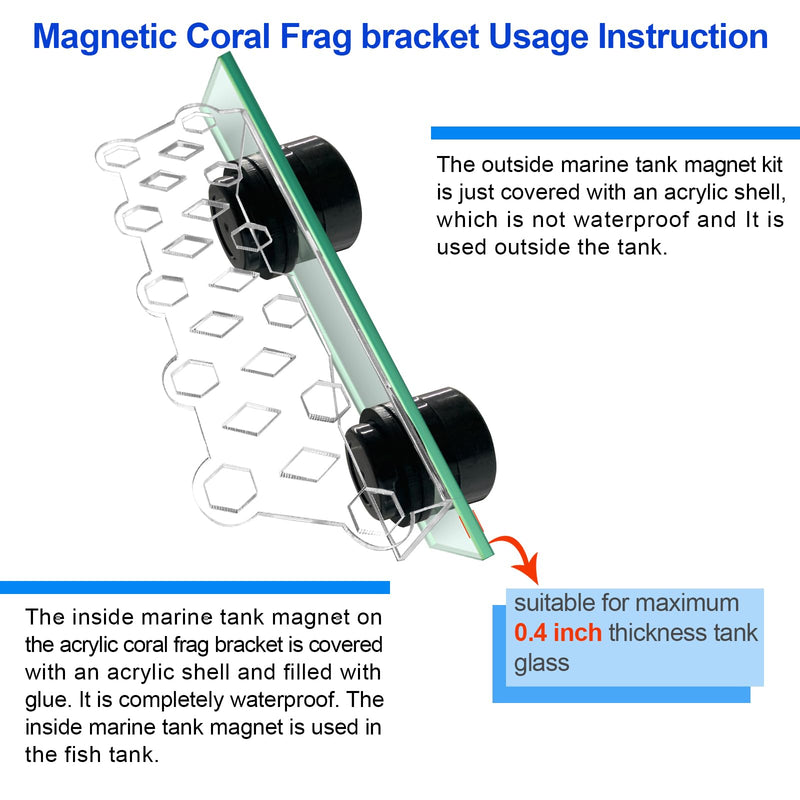 Coral Plug Holder Coral frag Rack Magnetic Holder Reef Magnets Holder for frag Racks (Coral Holder with 11 frag Plug) Coral holder with 11 frag plug - PawsPlanet Australia