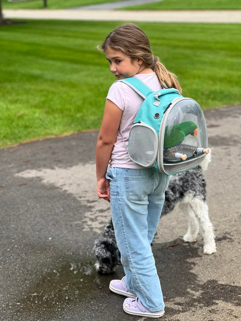 Small Bird Travel Backpack Carrier Cage, Backpack to Transport Backpack Carrier with Metal Tray Stand Perch for Parakeet Cockatiel Budgies Vet Carry Book Bag Green Clear Bubble - PawsPlanet Australia