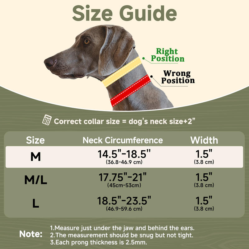 Mayerzon Martingale No Pull Collar for Medium Large Dogs German Shepherd Doberman Pitbull, Patented Anti Pull Correction Dog Collar for Walking Training, Reflective, Adjustable, Hidden(M, Black) Medium,2.5mm,14.5-18.5"Neck - PawsPlanet Australia