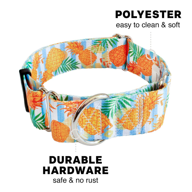 Downtown Pet Supply - Martingale Collar for Dogs - Dog Training Collar - Big, Wide & Thick Dog Collar - Escape-Proof, Weatherproof, Durable and Comfortable - Pineapple - Medium Dog Collar Medium: 11"-20" - PawsPlanet Australia