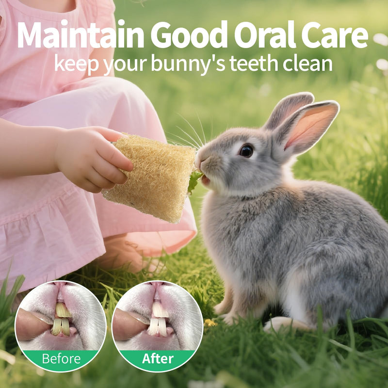 3 PCS Rabbit Chew Toys,100% Natural Loofah Without Additives,Bunny Chew Toys for Teeth,Fiber-Rich Rabbit Treats for Bunny Chinchilla Dogs 3 ps - PawsPlanet Australia