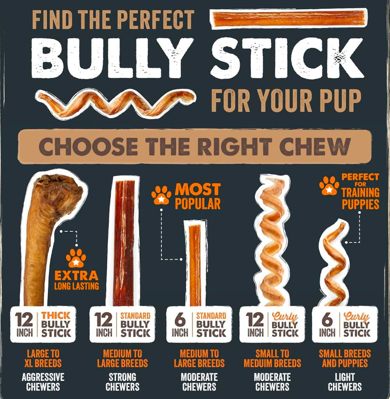 Mighty Paw Long Lasting 12" Bully Sticks for Dogs - All Natural Grass Fed Beef Chews. Lower Odor Dog Bully Sticks for Large Dogs, Medium and Small Breeds. Single Ingredient Treats - PawsPlanet Australia