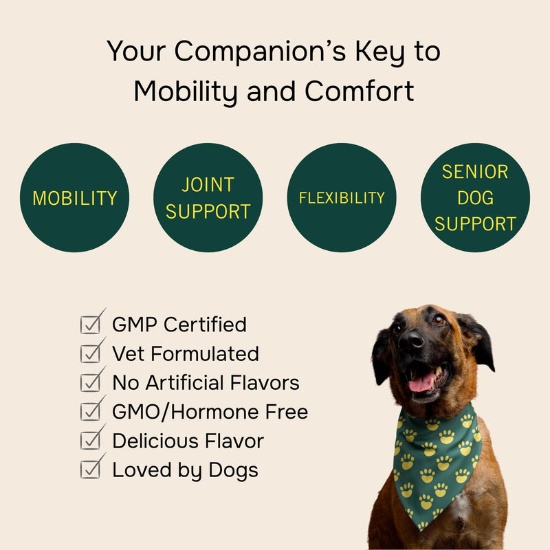 PetMeds Hip & Joint Supplement for Dogs - Vitamins, Glucosamine, MSM, Chondroitin, Collagen for Joint Mobility & Flexibility - Senior Dog Arthritis Support - Beef & Sweet Potato Flavor - 60 Soft Chews - PawsPlanet Australia