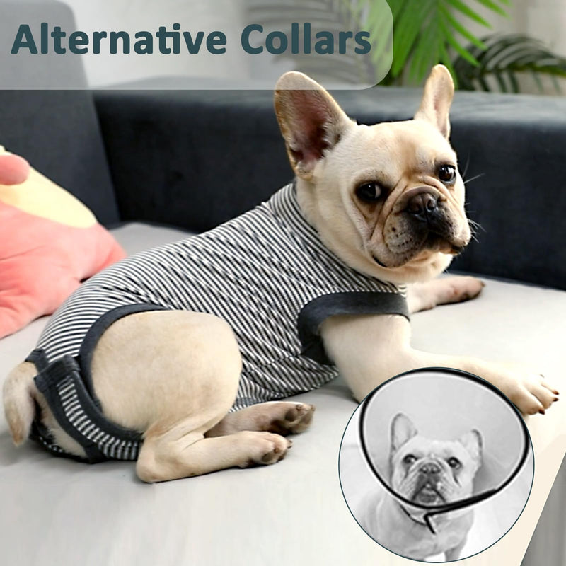 Dog Recovery Suit, Medium Dog Surgical Recovery Suit, Dog Surgery Recovery Suit for Male Neuter, Dog Spay Recovery Suit Female, Anti Licking Dog Recovery Onesie, Gray, M Medium (Back 14.6'', Chest 14''-17'') - PawsPlanet Australia
