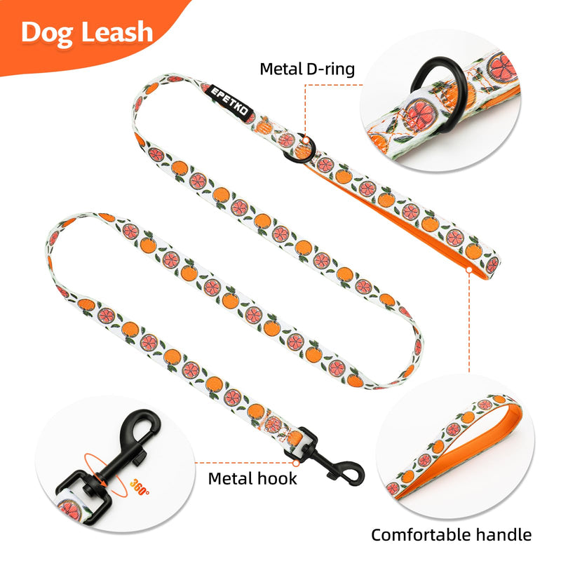 Dog Leash and Harness Set of 6, Soft Lightweight Mesh Step-in Puppy Harness, Adjustable Cute Floral Pattern Puppy Harness for Small Medium Dogs Orange M - PawsPlanet Australia