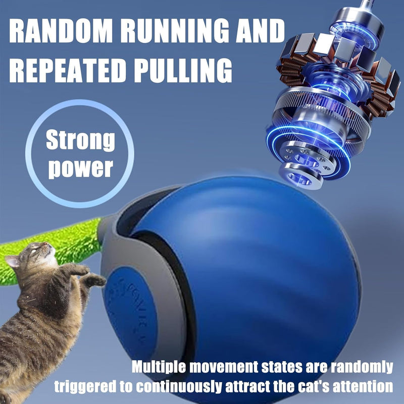 Speedy Tail 2.0, Speedy Tail 2.0 Cat Toy, Interactive Cat Toy for Indoor Cats, Automatic Moving Cat Toy Ball, USB Rechargeable Smart Cat Toys Ball with Tail, Two Speed Adjustment (Blue + Orange) - PawsPlanet Australia