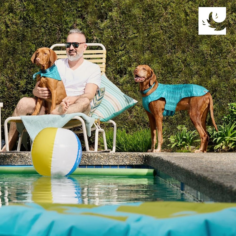 RC Pet Products Zephyr Cooling Vest, Extra Extra Small, Aqua (Medium, Aqua) Medium - PawsPlanet Australia