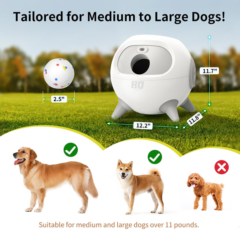 uahpet iRetriever Balls 4Pack for iRetriever Dog Ball Launcher, 2.5inch Tear-Resistant ETPU Dog Toys Balls - PawsPlanet Australia