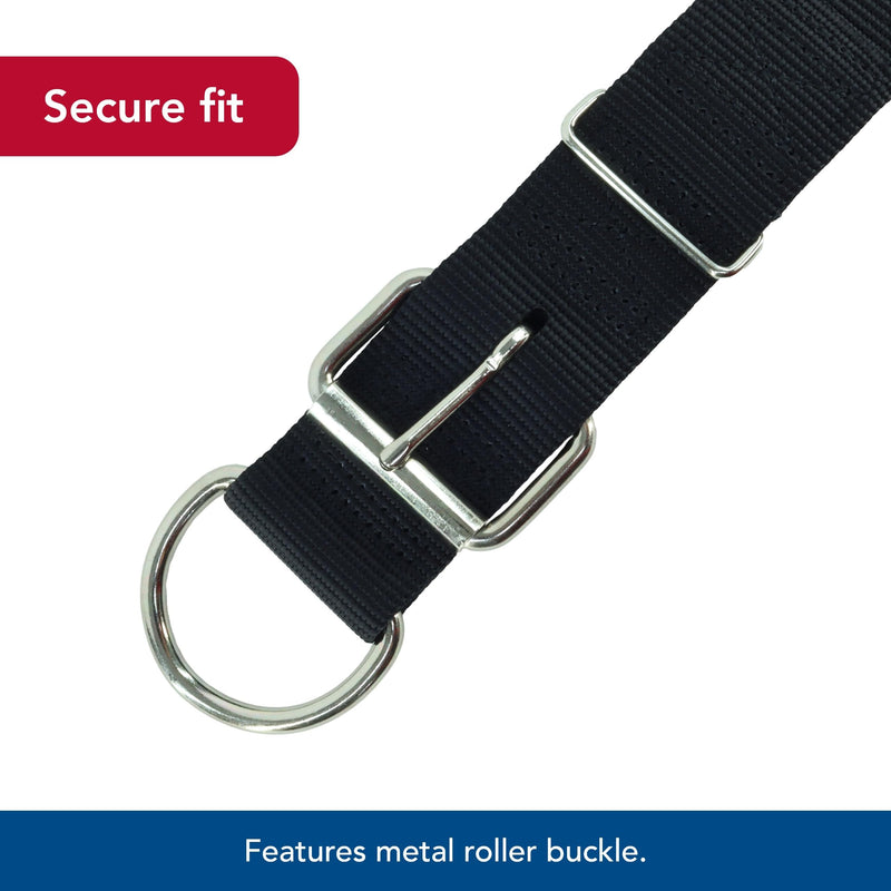 Coastal Pet Macho Dog Double-Ply Dog Collar with Roller Buckle - Comfortable & Durable Dog Collar - Heavy-Duty Dog Collar - Black, 20" 20" (Pack of 1)