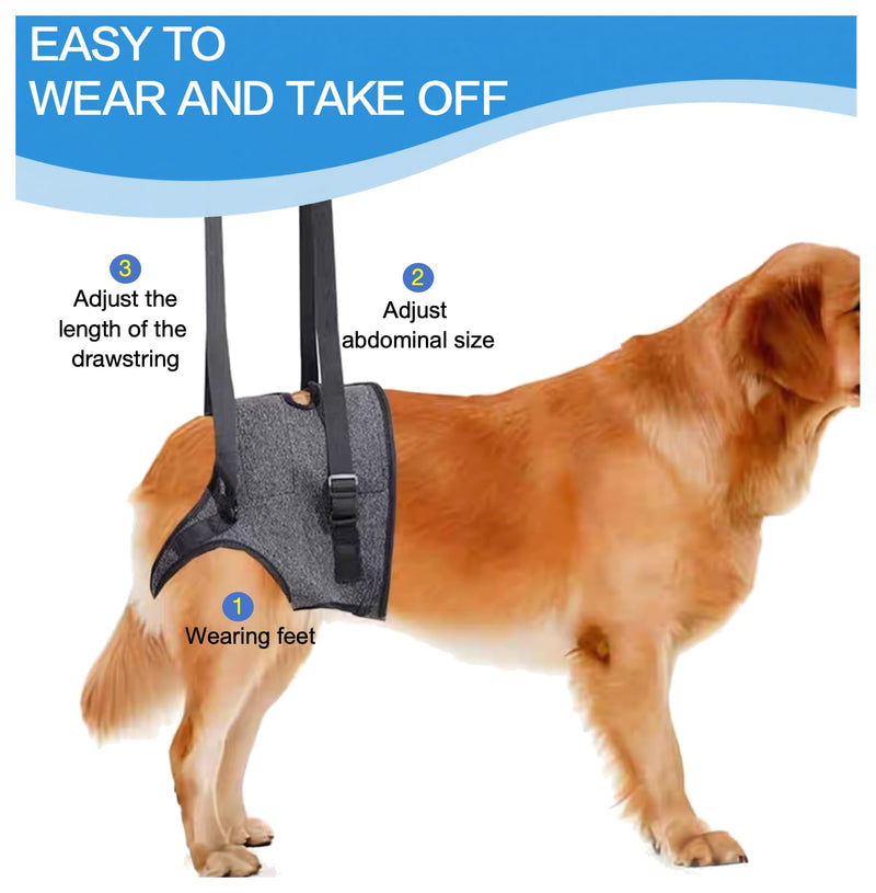 Dog Lift Harness for Back Legs–Sturdy Dog Support Sling–Hip Sling Carrier for Large/Medium/Small Canine, Stair Helper for Aid Old Ligament Rehabilitation Pet, Grey,L L-waist 19"-24" - PawsPlanet Australia