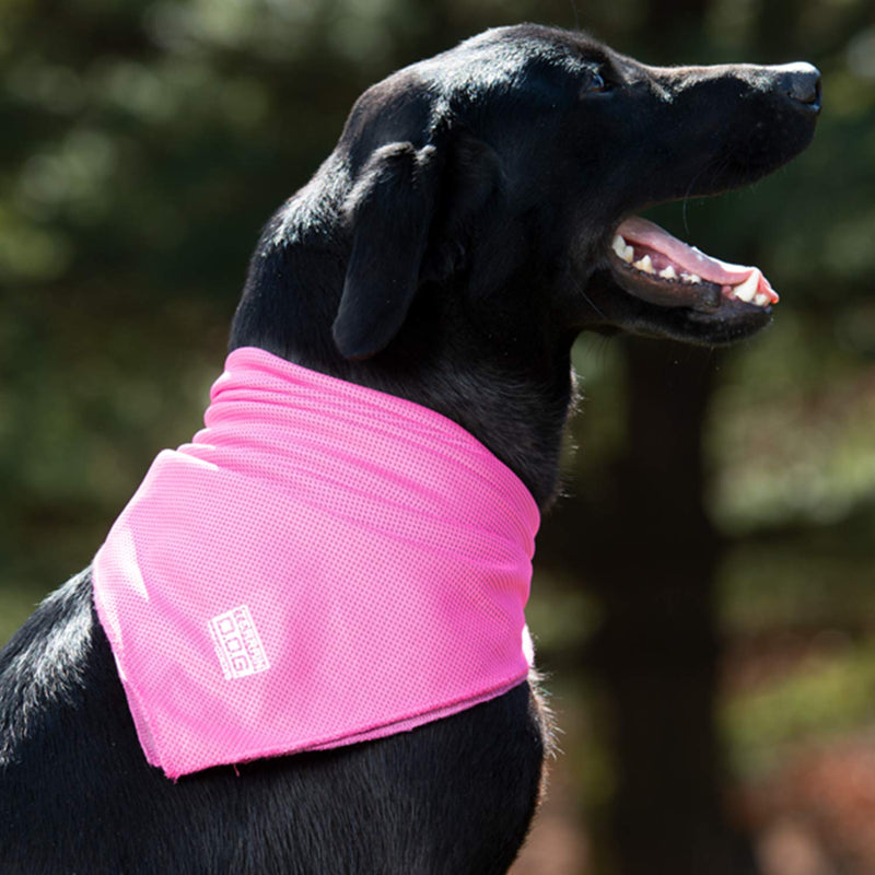 Terrain Dog Cooling Bandana - Cooling Fabric Powered by Coolcore® Technology 24" x 24" Pink - PawsPlanet Australia
