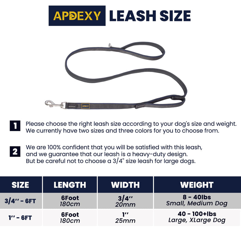 2 Handle Dog Leash, with Sandwich Mesh-Lined Webbing Traffic Padded, 6ft Long for Control Saftey Training for Large Dogs Pull, Dual Handles Leads (Black/Grey, 1'' X 6ft.) 1'' X 6ft. Black/Grey - PawsPlanet Australia