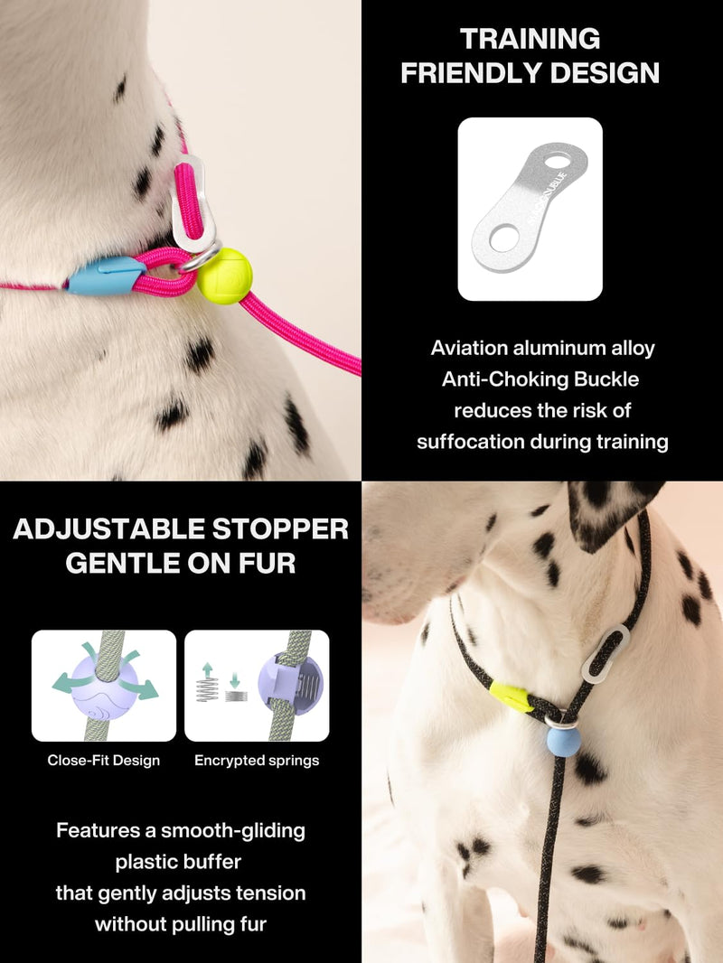 Slip Lead Dog Leash, Adjustable Slip Lead with Aviation Aluminum Anti-Choking Stopper, Lightweight Pet Training Lead Green-5Ft - PawsPlanet Australia