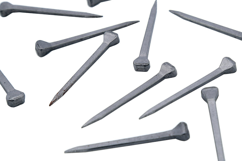 2 inch Horseshoe Nails Box of 100 - PawsPlanet Australia