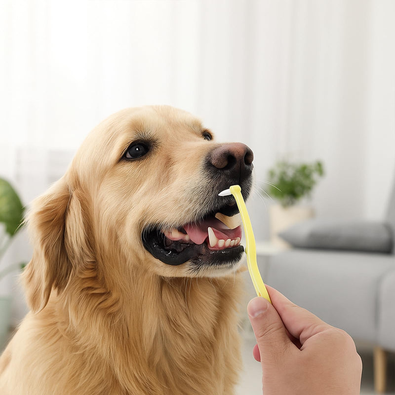 5 PCS Small Dog Toothbrush, Pet Toothbrush Cat Tooth Brush Micro Head Puppy Tooth Brushing Cat Dental Care Oral Hygiene Deep Teeth Cleaning Brushes 360 Degree Soft Bristles Round&Pointed Toothbrushs - PawsPlanet Australia