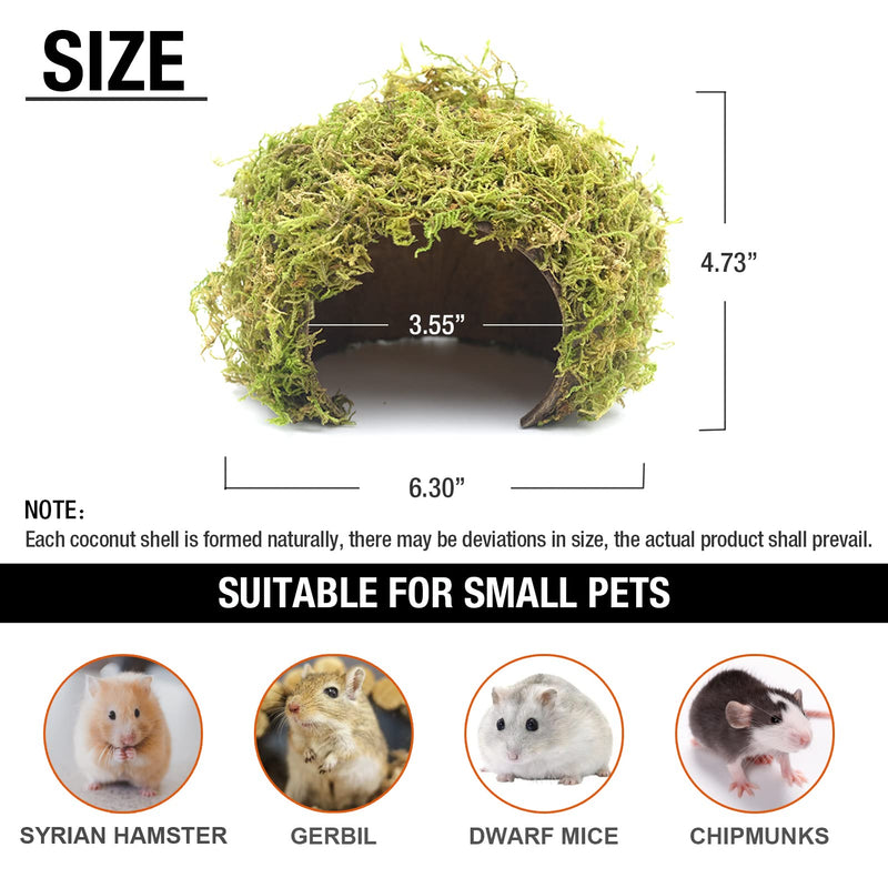 Hamster Hideaway,Mossy Cave Hide,Hamster House/Hides,Hamster Cage Accessories for Gguinea Pig/Hedgehogs/Gliders/Rats/Mice and Other Small Animals (Large) Large - PawsPlanet Australia